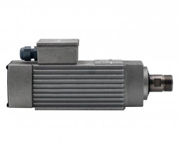 BZT HF Spindel 0,55 kW 24.000 rpm 230Volt / 400 Hz ER20
